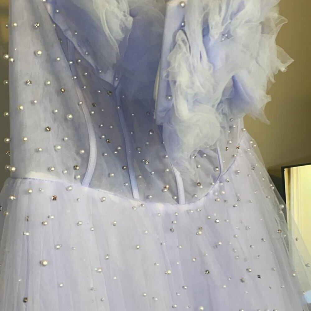 Sky Blue Dress with Sequin Appliques - Picture 3 of 12